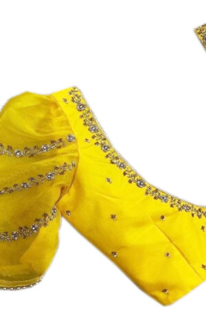Intricate Work Blouse