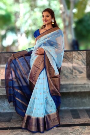 Aqua Blue Organza Saree