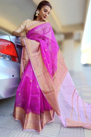 Traditional Organza Saree